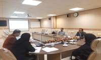جلسه تخصیص رویالتی شرکت های مستقر در مرکز رشد